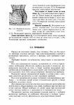  Page53 (494x700, 269Kb)