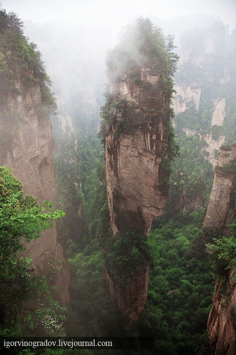 Китай. Национальный парк Чжанцзяцзе. Горы Аватара (Улинъюань)