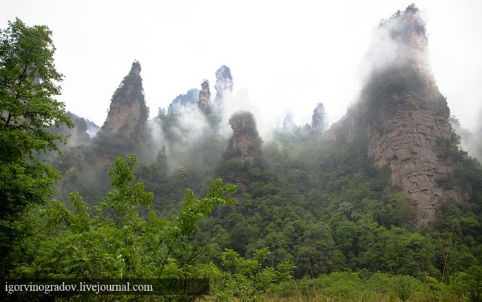 Планета Пандора - реальна! Горы в парке Чжанцзяцзe (Китай)