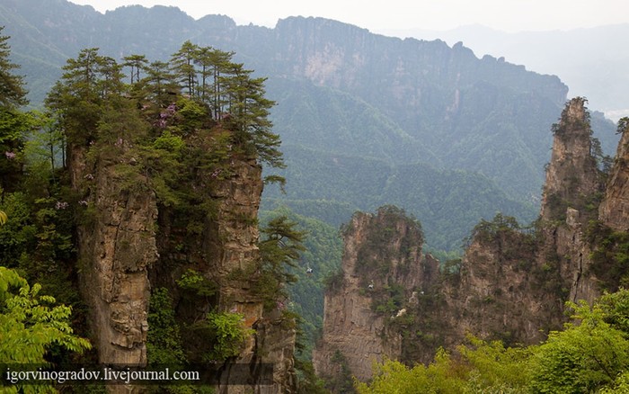 Планета Пандора — реальна! Горы в парке Чжанцзяцзe (Китай)