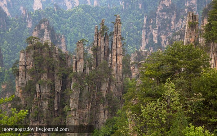 Планета Пандора — реальна! Горы в парке Чжанцзяцзe (Китай)
