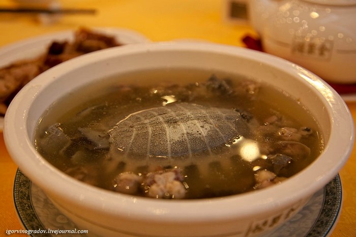 Китайский суп из черепахи