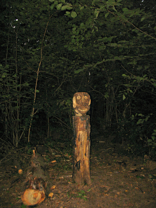 111 103 (525x700, 601Kb)