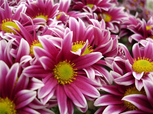 2 (640x480, 318Kb)