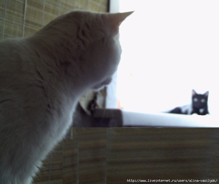 PICT0001 (2) (700x588, 123Kb)