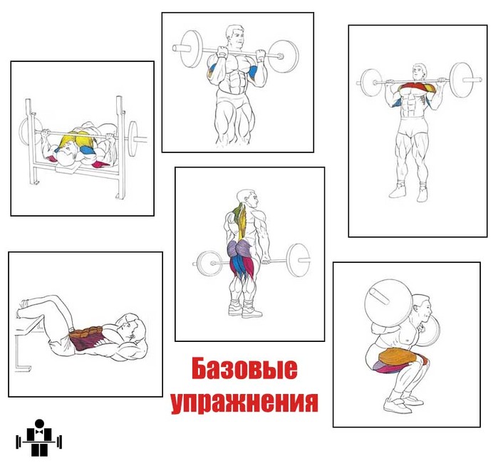 Базовые упражнения на массу в домашних условиях Базовые упражнения на массу в домашних условиях