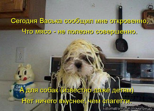 kotomatritsa_0 (650x471, 288Kb)