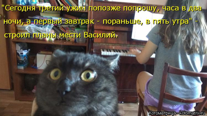 kotomatritsa_A (700x392, 320Kb)