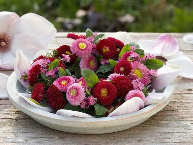 Букет из маргариток Букет из маргариток