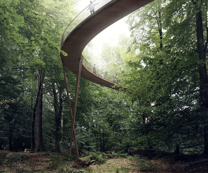В Дании появится возможность увидеть лес с высоты, прогуливаясь по спиральной тропе