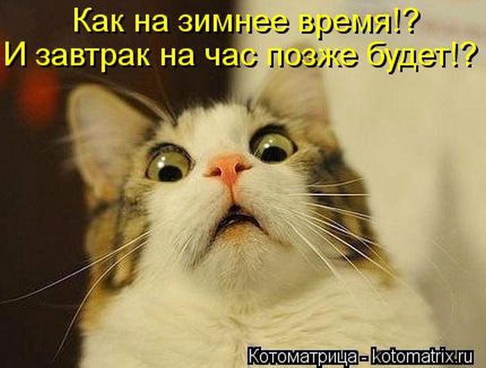 1381478512_kotomatrix_09 (700x531, 268Kb)