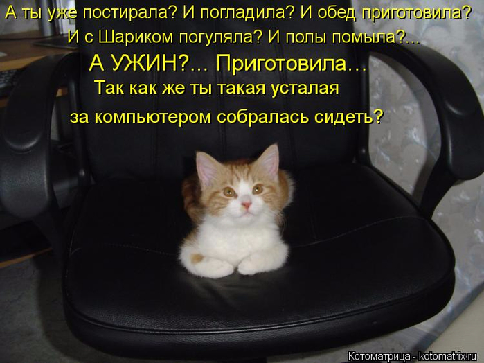 kotomatritsa_Kv (700x524, 314Kb)