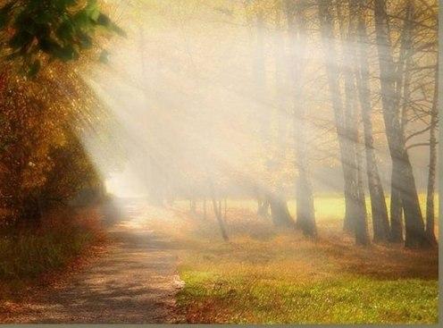 4208855_qZ_eNVTNUzA (496x367, 29Kb)
