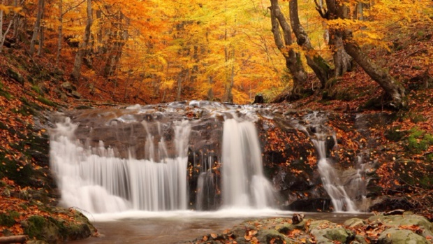 osen_les_listopad_vodopad_kaskady_kamni_zhurchanie_46660_602x339 (620x349, 300Kb)