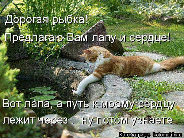 6 (600x450, 372Kb)