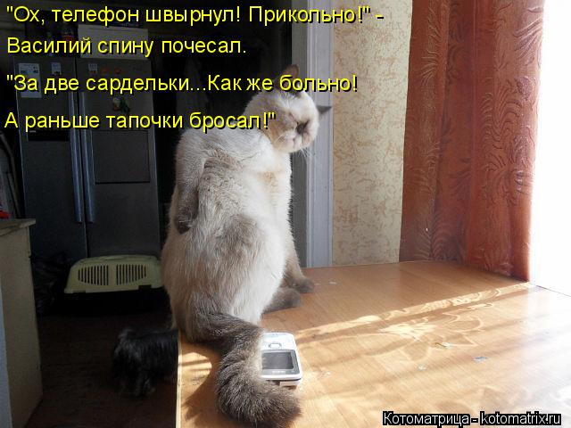 13 (640x480, 250Kb)