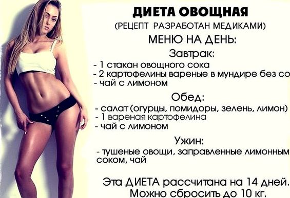 Как вырастить папайю из косточки в домашних условиях Как вырастить папайю из косточки в домашних условиях