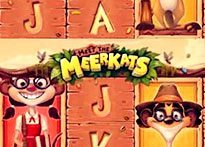 Meet-the-meerkats-205x147 (205x147, 11Kb)