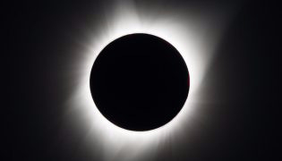 c3862060842d (315x180, 13Kb)