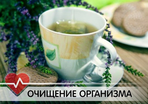 Поэтапное очищение организм Поэтапное очищение организм