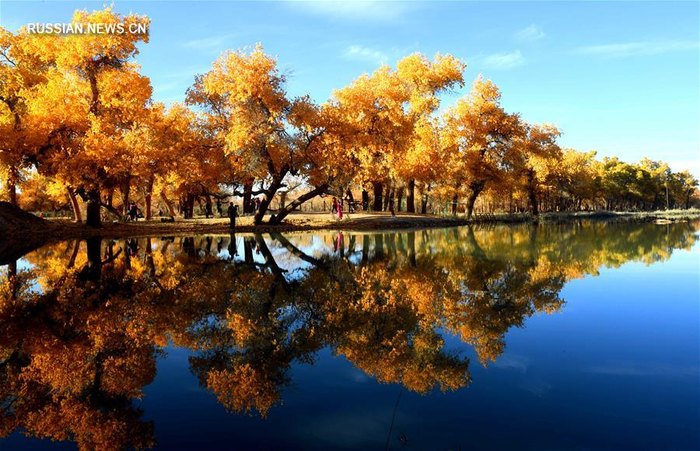 18 (700x451, 422Kb)
