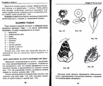  Page30 (700x581, 268Kb)