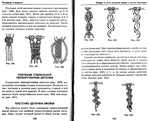  Page66 (700x567, 283Kb)