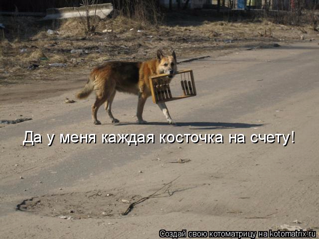 kotomatritsa_l (640x480, 217Kb)