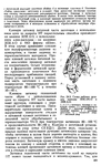  Shvetsova_-_tehnologia_obuvi-208 (425x700, 293Kb)