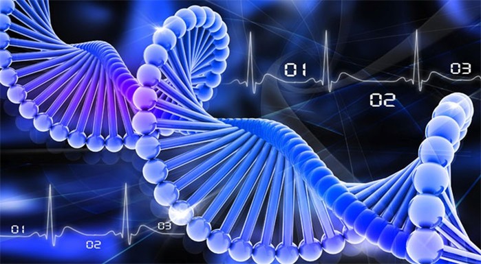 10 невероятных фактов о ДНК, которые будут интересны и взрослым, и детям