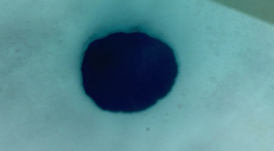 s89096651 (400x221, 13Kb)