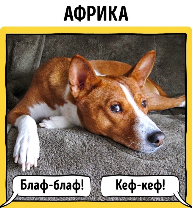 афр (645x700, 189Kb)