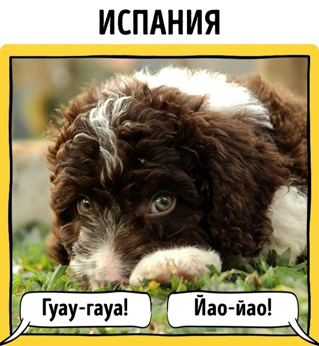 исп (645x700, 155Kb)
