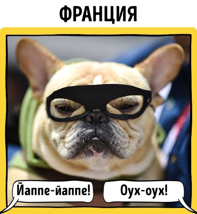 франция (645x700, 123Kb)