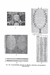  Page230 (463x700, 223Kb)