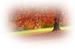 5230261_o1 (150x99, 42Kb)