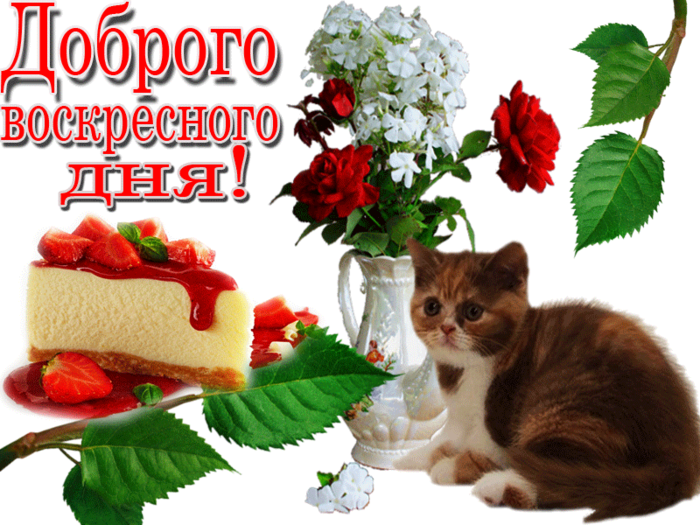 3470549_den_voskr______ (700x525, 491Kb)