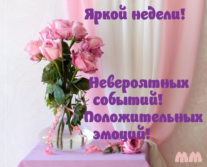 3470549_ned111_ (699x563, 77Kb)