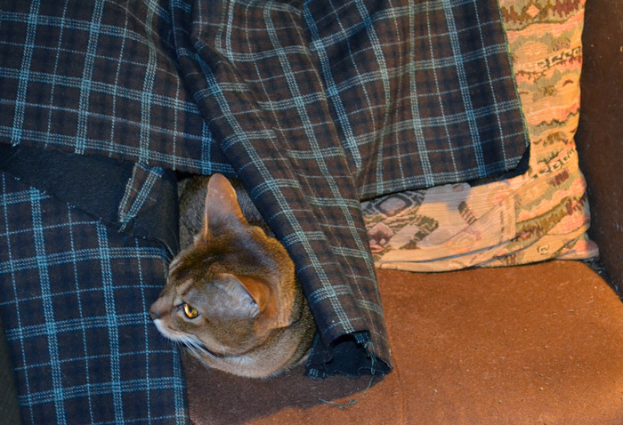 DSC_0018 (700x478, 366Kb)