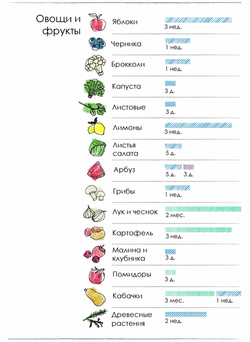 Как долго и правильно хранить продукты — 62 наименования