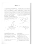  Page45 (494x700, 121Kb)
