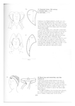  Page211 (494x700, 103Kb)