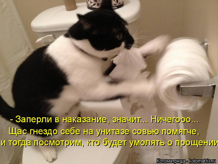 Котоматрица  - Страница 39 138224920_11