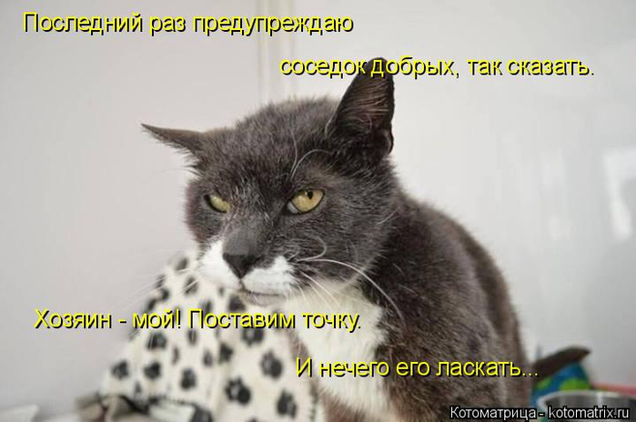 Котоматрица  - Страница 39 138224924_15