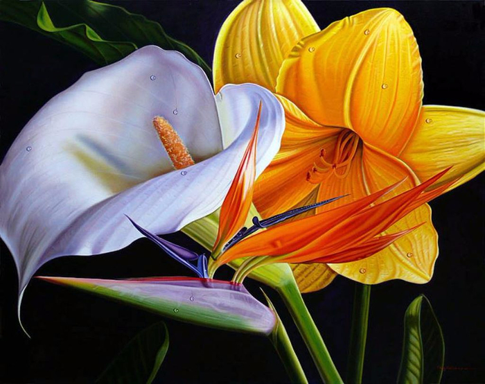 Цветы художника Эллери Гутьеррес (Ellery Gutierrez)4 (700x554, 374Kb)