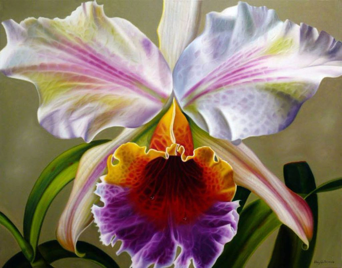 Цветы художника Эллери Гутьеррес (Ellery Gutierrez)6 (700x548, 374Kb)