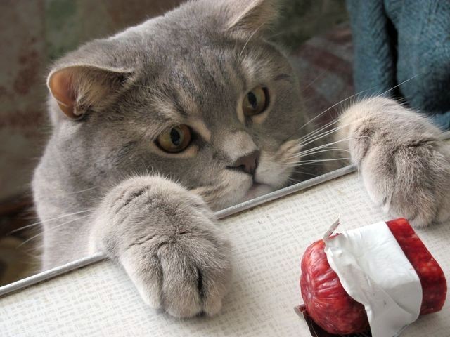 image (640x480, 62Kb)