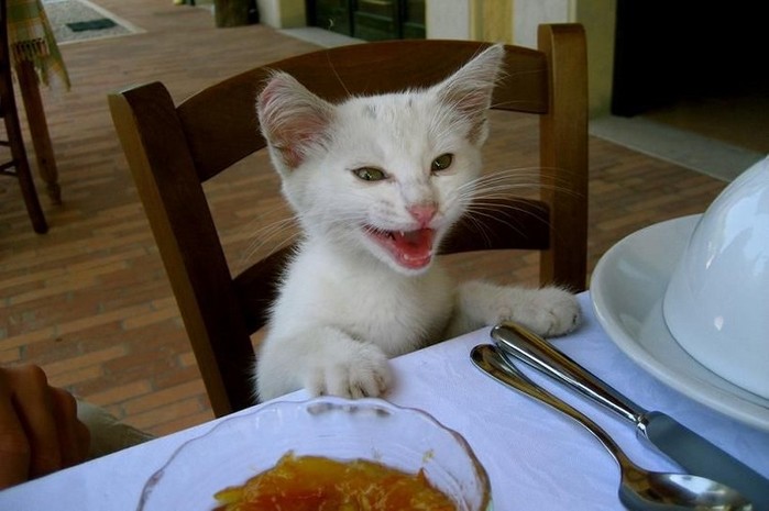 funny-pic-091 (700x465, 64Kb)