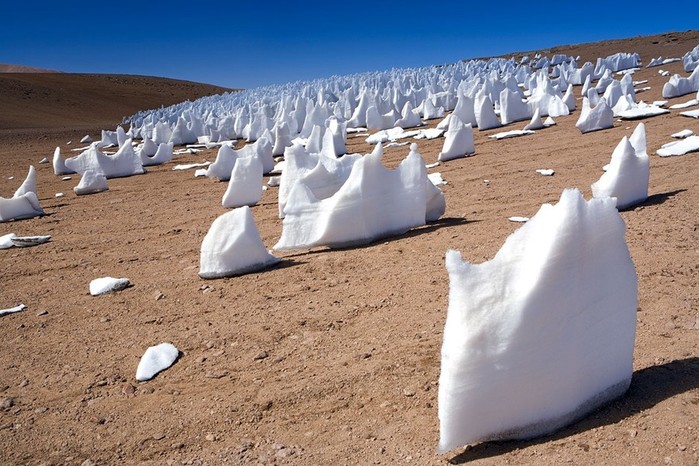 Удивительные «кающиеся снега» в Чили, которые открыл молодой Дарвин