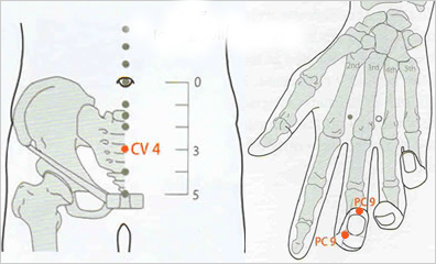 alt="   Cv 4 (-)      "/2835299_Massaj_tochki_Tochki_Cv_4_Gyanuan_pri_skoplenie_jira_v_nizy_jivota (396x240, 82Kb)